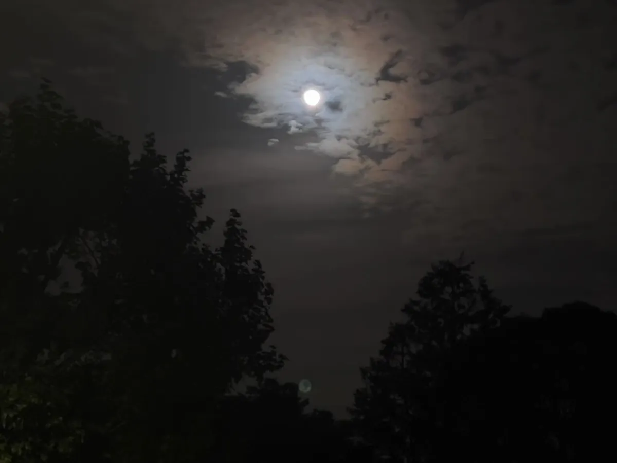 Nocturne