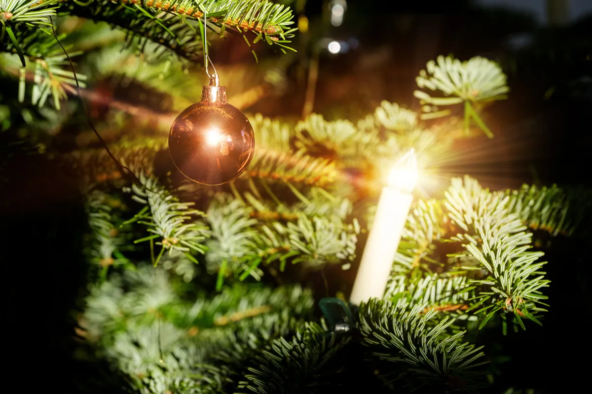 Christmas Tree Branch with Ornament