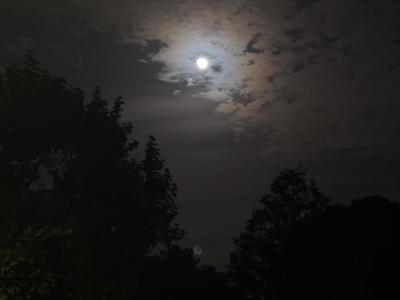 Nocturne
